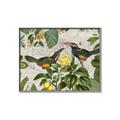 Picture of Parrots Nostalgic Journey 2 _GroupedProduct_Rectangle_Landscape_Canvas_Framed_