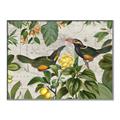 Picture of Parrots Nostalgic Journey 2 _GroupedProduct_Rectangle_Landscape_Canvas_Framed_