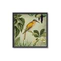 Picture of Yellow Nostalgic Tropical Birds _GroupedProduct_Square_Canvas_Framed_