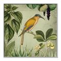 Picture of Yellow Nostalgic Tropical Birds _GroupedProduct_Square_Canvas_Framed_
