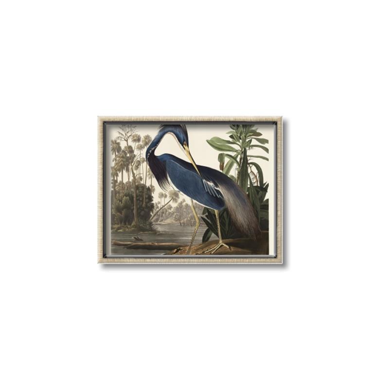 Picture of Vintage Heron Bird _GroupedProduct_Rectangle_Landscape_Canvas_Framed_