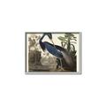 Picture of Vintage Heron Bird _GroupedProduct_Rectangle_Landscape_Canvas_Framed_