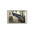 Picture of Vintage Heron Bird _GroupedProduct_Rectangle_Landscape_Canvas_Framed_