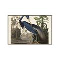 Picture of Vintage Heron Bird _GroupedProduct_Rectangle_Landscape_Canvas_Framed_