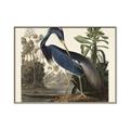 Picture of Vintage Heron Bird _GroupedProduct_Rectangle_Landscape_Canvas_Framed_