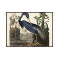 Picture of Vintage Heron Bird _GroupedProduct_Rectangle_Landscape_Canvas_Framed_