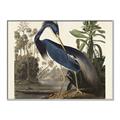 Picture of Vintage Heron Bird _GroupedProduct_Rectangle_Landscape_Canvas_Framed_