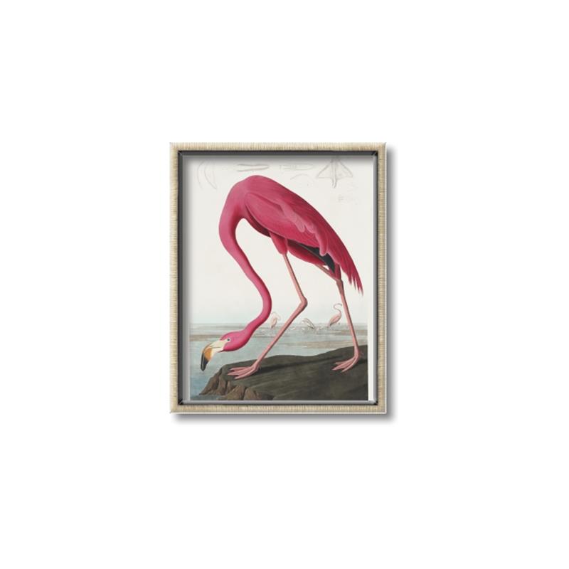 Picture of Vintage Pink Flamingo _GroupedProduct_Rectangle_Portrait_Canvas_Framed_