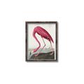 Picture of Vintage Pink Flamingo _GroupedProduct_Rectangle_Portrait_Canvas_Framed_