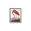 Picture of Vintage Pink Flamingo _GroupedProduct_Rectangle_Portrait_Canvas_Framed_