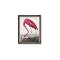 Picture of Vintage Pink Flamingo _GroupedProduct_Rectangle_Portrait_Canvas_Framed_
