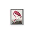 Picture of Vintage Pink Flamingo _GroupedProduct_Rectangle_Portrait_Canvas_Framed_