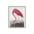 Picture of Vintage Pink Flamingo _GroupedProduct_Rectangle_Portrait_Canvas_Framed_
