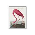 Picture of Vintage Pink Flamingo _GroupedProduct_Rectangle_Portrait_Canvas_Framed_