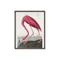 Picture of Vintage Pink Flamingo _GroupedProduct_Rectangle_Portrait_Canvas_Framed_