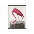 Picture of Vintage Pink Flamingo _GroupedProduct_Rectangle_Portrait_Canvas_Framed_