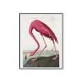 Picture of Vintage Pink Flamingo _GroupedProduct_Rectangle_Portrait_Canvas_Framed_