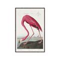 Picture of Vintage Pink Flamingo _GroupedProduct_Rectangle_Portrait_Canvas_Framed_