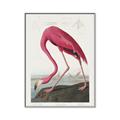 Picture of Vintage Pink Flamingo _GroupedProduct_Rectangle_Portrait_Canvas_Framed_
