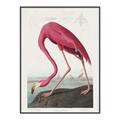 Picture of Vintage Pink Flamingo _GroupedProduct_Rectangle_Portrait_Canvas_Framed_