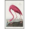 Picture of Vintage Pink Flamingo _GroupedProduct_Rectangle_Portrait_Canvas_Framed_