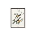 Picture of Two Yellow Warbler Birds _GroupedProduct_Rectangle_Portrait_Canvas_Framed_