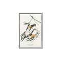 Picture of Two Yellow Warbler Birds _GroupedProduct_Rectangle_Portrait_Canvas_Framed_