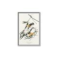 Picture of Two Yellow Warbler Birds _GroupedProduct_Rectangle_Portrait_Canvas_Framed_