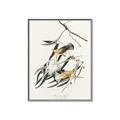 Picture of Two Yellow Warbler Birds _GroupedProduct_Rectangle_Portrait_Canvas_Framed_