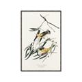 Picture of Two Yellow Warbler Birds _GroupedProduct_Rectangle_Portrait_Canvas_Framed_