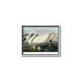 Picture of Vintage Floating White Swan _GroupedProduct_Rectangle_Landscape_Canvas_Framed_