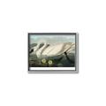 Picture of Vintage Floating White Swan _GroupedProduct_Rectangle_Landscape_Canvas_Framed_