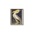 Picture of Vintage White Pelican _GroupedProduct_Rectangle_Portrait_Canvas_Framed_