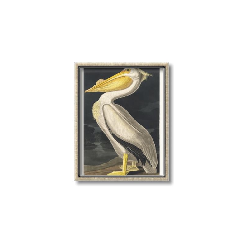 Picture of Vintage White Pelican _GroupedProduct_Rectangle_Portrait_Canvas_Framed_