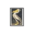 Picture of Vintage White Pelican _GroupedProduct_Rectangle_Portrait_Canvas_Framed_