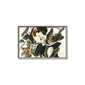 Picture of Black Billed Cuckoo Bird _GroupedProduct_Rectangle_Landscape_Canvas_Framed_
