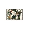 Picture of Black Billed Cuckoo Bird _GroupedProduct_Rectangle_Landscape_Canvas_Framed_
