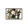 Picture of Black Billed Cuckoo Bird _GroupedProduct_Rectangle_Landscape_Canvas_Framed_