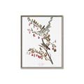 Picture of Vintage Tree Sparrow _GroupedProduct_Rectangle_Portrait_Canvas_Framed_