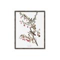 Picture of Vintage Tree Sparrow _GroupedProduct_Rectangle_Portrait_Canvas_Framed_
