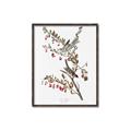 Picture of Vintage Tree Sparrow _GroupedProduct_Rectangle_Portrait_Canvas_Framed_