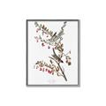 Picture of Vintage Tree Sparrow _GroupedProduct_Rectangle_Portrait_Canvas_Framed_