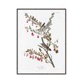 Picture of Vintage Tree Sparrow _GroupedProduct_Rectangle_Portrait_Canvas_Framed_