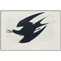 Picture of Vintage Black Sooty Tern _GroupedProduct_Rectangle_Landscape_Canvas_Framed_