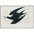 Picture of Vintage Black Sooty Tern _GroupedProduct_Rectangle_Landscape_Canvas_Framed_