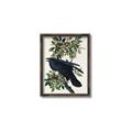Picture of Raven From Birds of America (1827) _GroupedProduct_Rectangle_Portrait_Canvas_Framed_