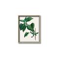 Picture of Nostalgic Green Lilac Leaves _GroupedProduct_Rectangle_Portrait_Canvas_Framed_