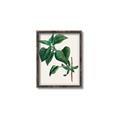 Picture of Nostalgic Green Lilac Leaves _GroupedProduct_Rectangle_Portrait_Canvas_Framed_