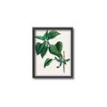 Picture of Nostalgic Green Lilac Leaves _GroupedProduct_Rectangle_Portrait_Canvas_Framed_