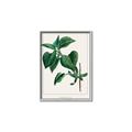 Picture of Nostalgic Green Lilac Leaves _GroupedProduct_Rectangle_Portrait_Canvas_Framed_
